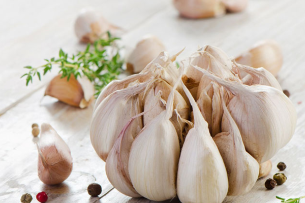 "Garlic, reduces the risk of cancer"